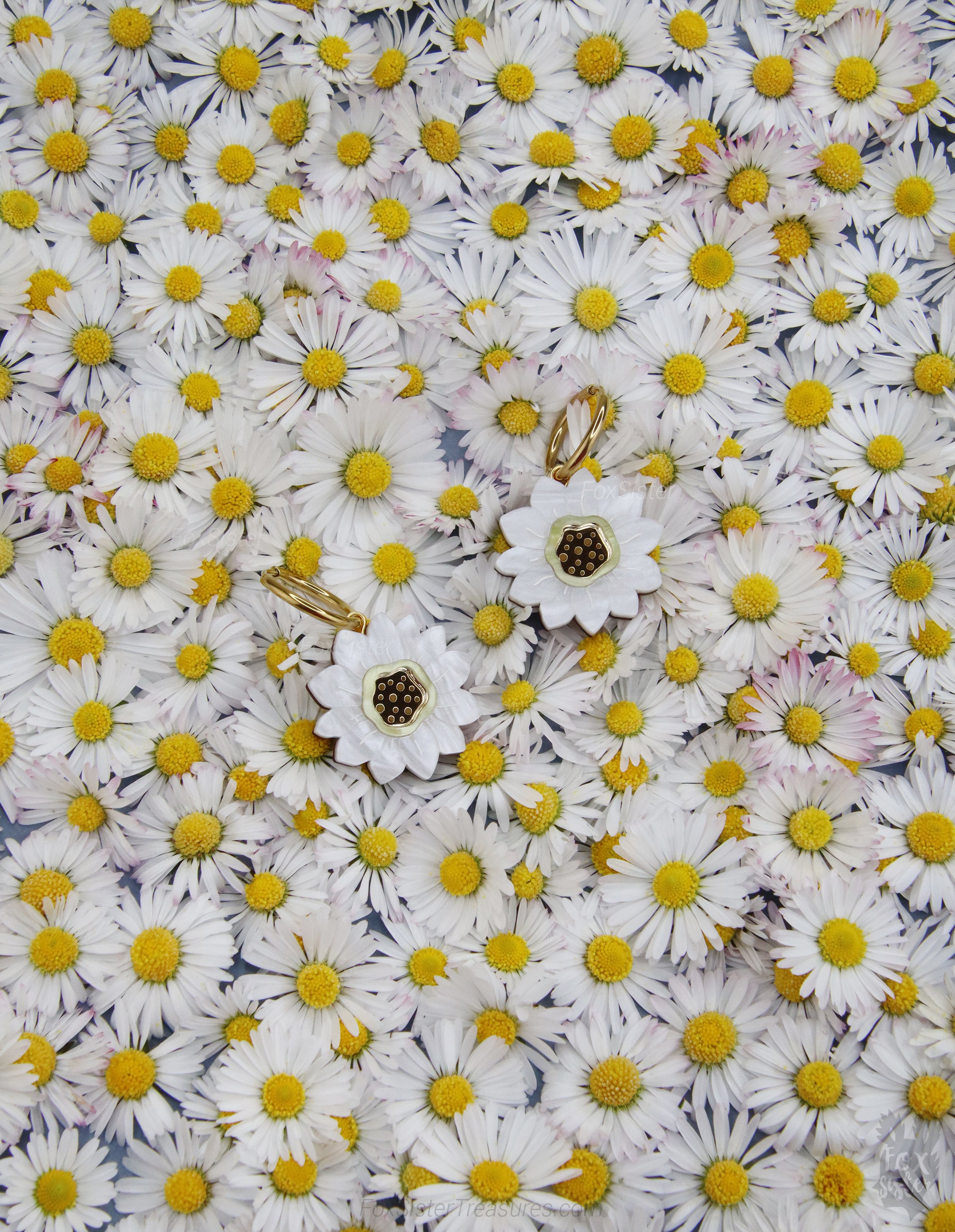 Daisies - Hoop Earrings