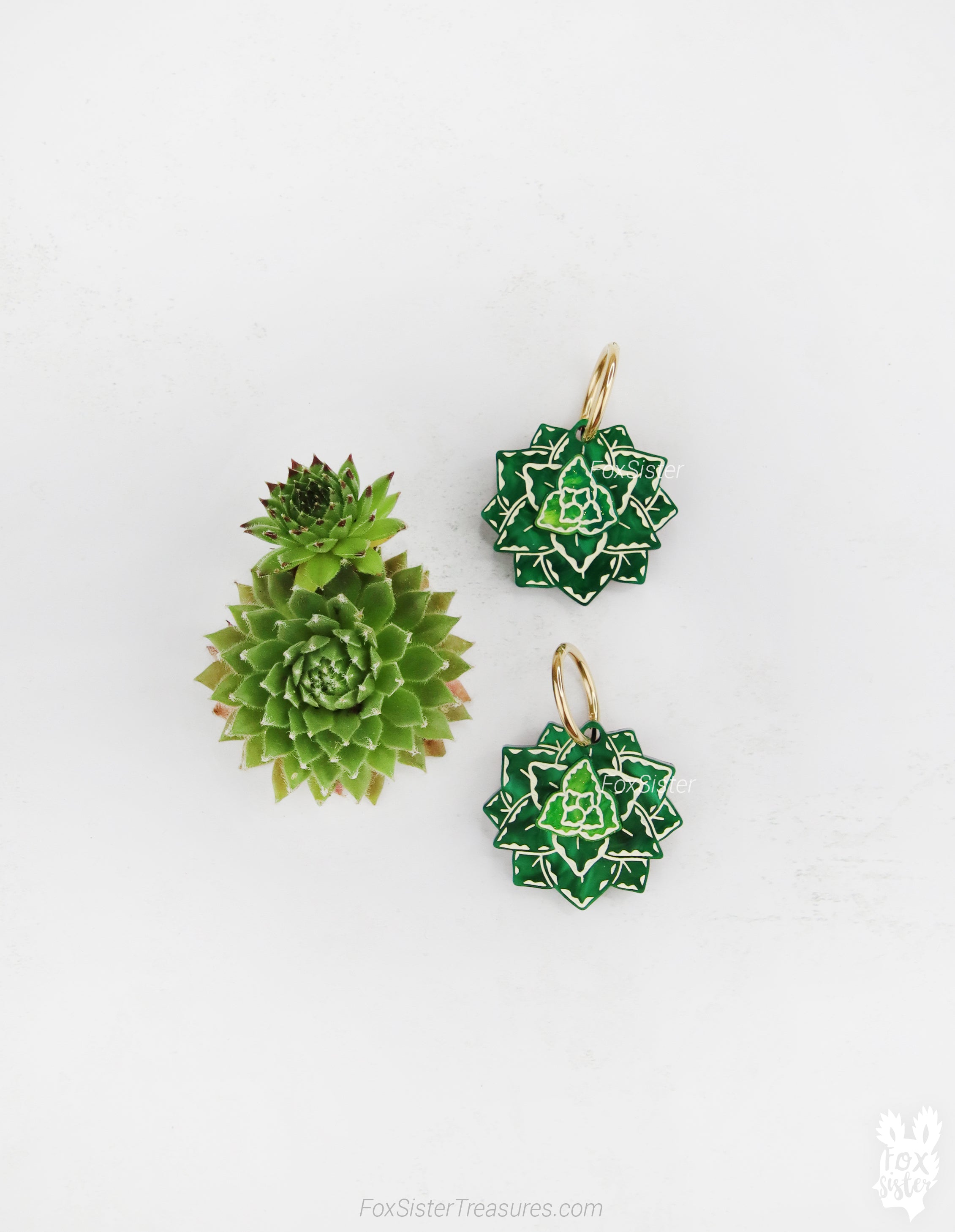 Dark Green Succulent - Hoop Earrings